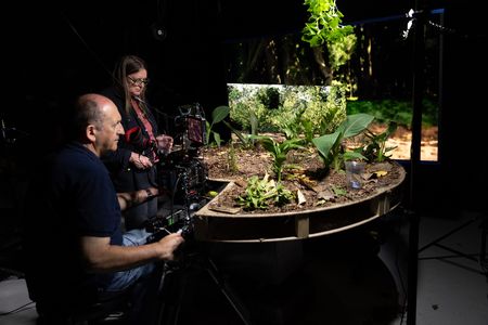 Camera operator Kevin Flay films African moon moth caterpillars alongside Janice Smith at a studio set in the UK. (National Geographic/Kate Laurie)