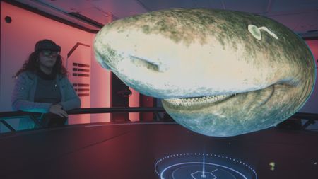 Melissa Marquez is in the Hololab to analyze the Greenland shark's anatomy. (National Geographic)