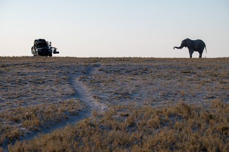 A truck with a GSS filming an African bull elephant. (National Geographic/Virginia Quinn)