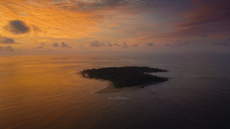 Poilão, a remote island off the coast of West Africa. (National Geographic)