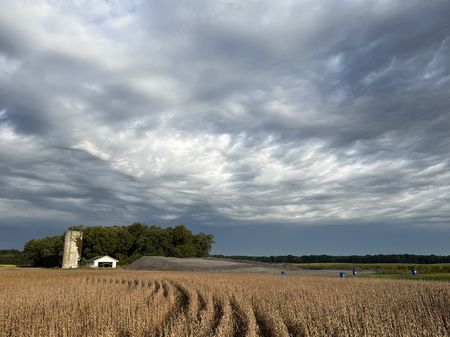 The site in Newton County, IN, pictured in 2023, where the body was discovered in 1983. (National Geographic/Tom Beard)