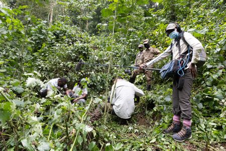 National Geographic crew films mountain gorilla conservationist Dr. Gladys Kalema-Zikusoka in Bwindi Impenetrable National Park. (National Geographic/Martha Mutiso)