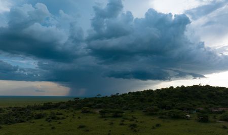 A large rainstorm over the Serengeti.  (credit: National Geographic/Will Greenlees)