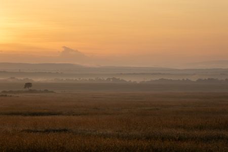 A soft mist sits on the landscape in Maasai Mara, Kenya. (National Geographic/Joe Treddenick)