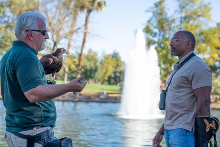 Christian Cooper meets with expert falconer, Ken Miknuk, and his trusty sidekick, Bond, a trained Harris’ Hawk at a park in Palm Springs, CA. Ken is hired by the municipality to fly Bond to safely disperse the black-crowned night heron population from the trees. (National Geographic/Jon Kroll)