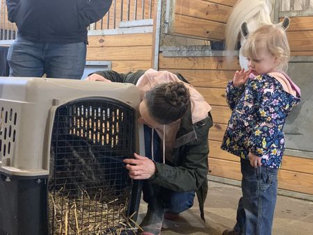 After purchasing three baby emus at Yoke Farms, Beth Pol inspects the emus inside of their carrier with her daughter, Abigail Pol. (National Geographic)