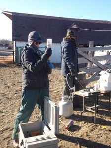 Vet tech Val Sovereign prepares a cattle vaccine, as Dr. Erin Schroeder stands ready to administer vaccinations. (National Geographic)