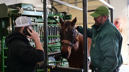 Owner Cole Schmidt speaks with his father on the phone as they discuss what happened to his horse Sweetheart, while Dr. Ben Schroeder begins to assess the situation. (National Geographic)