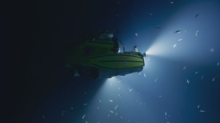 Melissa Marquez and Pedro Afonso head down to a depth of 820 ft in a submersible to look for sixgill sharks. (National Geographic)