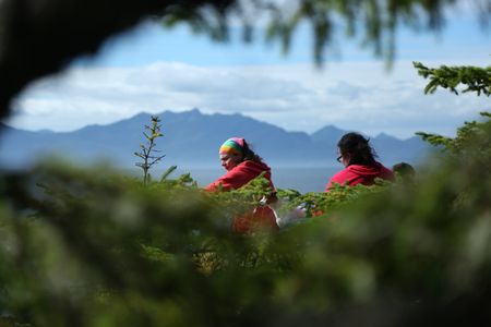Veronica Arrants and Breanna Miethe pick berries. (National Geographic/Wayne Moss)