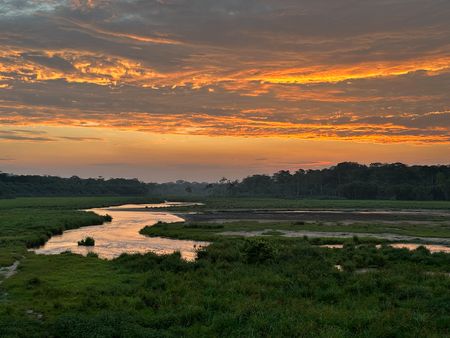 Sunset over a forest clearing in the Republic of Congo. Forest elephants gather at clearings for minerals and water as well as social opportunities.   (National Geographic/Sophie Pierce)