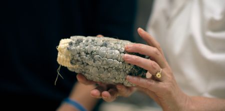 A closeup of huitlacoche, which Chef Elena uses in her tamales at Rosetta. (National Geographic)