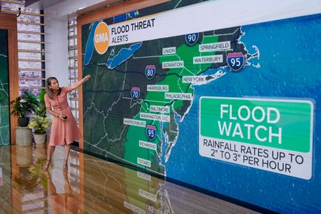 GINGER ZEE