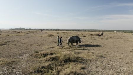 Zacharia Mutai, the keeper of the Northern White Rhinos, and Ami Vitale, photographer, follow the rhinos.  (credit: National Geographic)