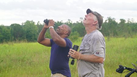 Christian Cooper and Mark Bailey observe the endangered red-cockaded woodpeckers coming back to their pine tree cavities at dusk. (National Geographic for Disney)